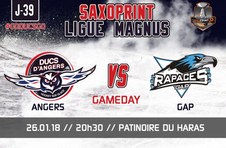 SLM J-39 Une rencontre de haut vol !