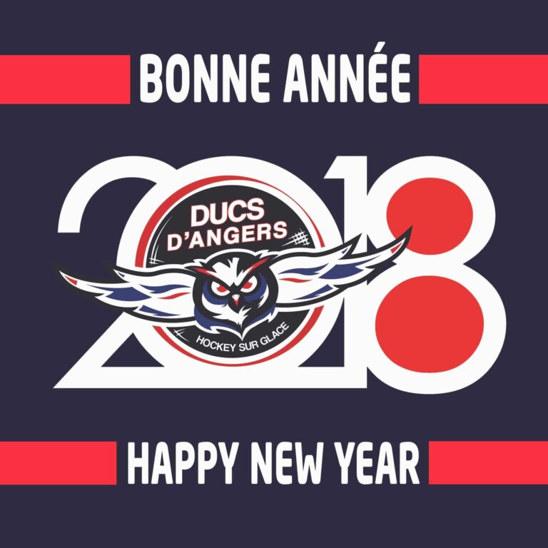 Bonne année 2018 !!!