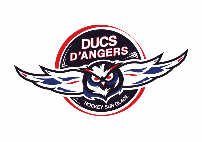Résumé Mi-Saison // SAXOPRINT Ligue Magnus 2016-2017