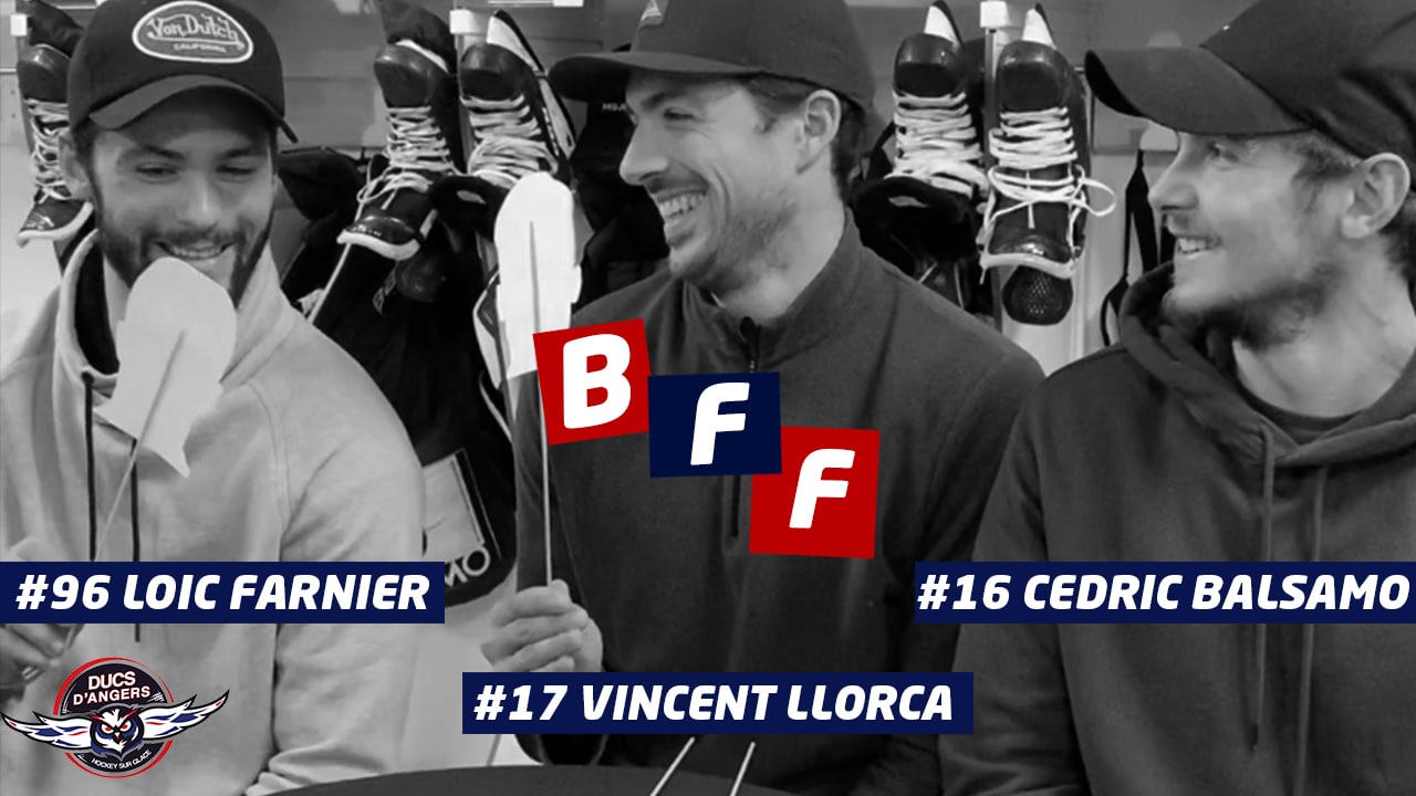 3 joueurs des ducs d'angers (Loic Farnier, Cédric Di Dit Balsamo, Vincent Llorca)