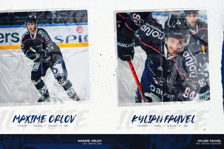 En licence bleue, ORLOV & FAUVEL continueront leur développement !