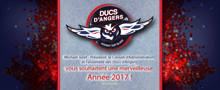 Meilleurs Vœux 2017